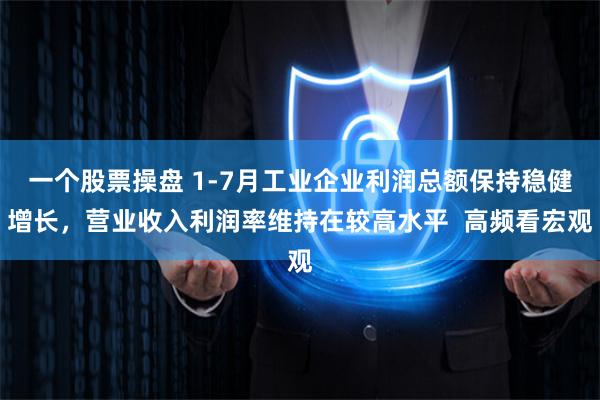 一个股票操盘 1-7月工业企业利润总额保持稳健增长，营业收入利润率维持在较高水平  高频看宏观