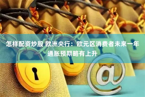 怎样配资炒股 欧洲央行：欧元区消费者未来一年通胀预期略有上升
